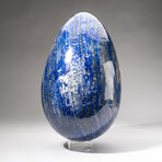 Huge Genuine Museum Quality Lapis Lazuli Egg // 52lb