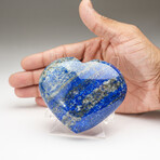 Genuine Polished Lapis Lazuli Heart With Acrylic Stand // 418g