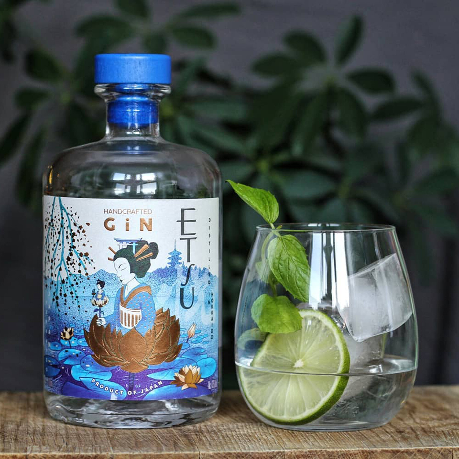 Gin ETSU Deep Ocean Handcrafted Japonais 45% - Nicolas