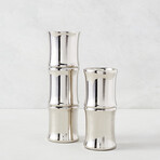 Healdsburg Vase // Silver (Small)