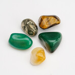 5 Genuine Tumble Stones // Money Pouch
