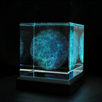 The Universe in a Cube