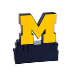 University Of Michigan