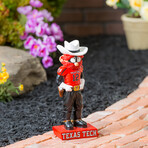 Texas Tech University