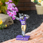 University of Washington