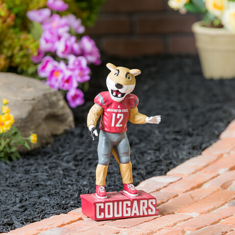 Washington State University