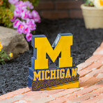 University Of Michigan