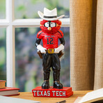 Texas Tech University