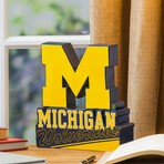 University Of Michigan