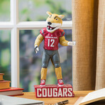 Washington State University