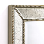 Champagne Bead Beveled Rectangular Wall Mirror (36"L x 1.57"W x 24"H)