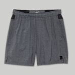 Standard Issue 6.5 Shorts // Heather Charcoal (S)