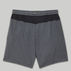 Standard Issue 6.5 Liner Shorts // Heather Charcoal (S)