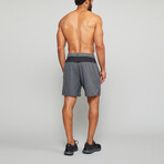 Standard Issue 6.5 Liner Shorts // Heather Charcoal (S)