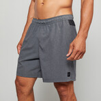 Standard Issue 6.5 Shorts // Heather Charcoal (S)