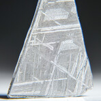 Genuine Natural Muonionalusta Meteorite Slice V2 // 5.7g