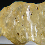 Genuine Natural Libyan Desert Glass // 8.8g