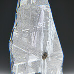 Genuine Natural Muonionalusta Meteorite Slice // 5.8g