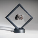 Genuine Natural Sikhote Alin Meteorite // 56.7g