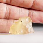 Genuine Natural Libyan Desert Glass // 6.2g