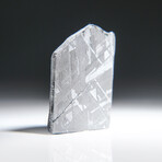 Genuine Natural Muonionalusta Meteorite Slice // 8.4g