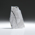 Genuine Natural Muonionalusta Meteorite Slice // 5.1 g