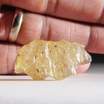 Genuine Natural Libyan Desert Glass // 8.8g