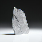 Genuine Natural Muonionalusta Meteorite Slice // 5.7 g