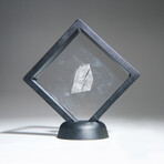 Genuine Natural Muonionalusta Meteorite Slice // 5.1 g