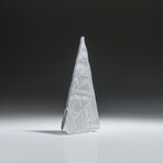 Genuine Natural Muonionalusta Meteorite Slice V2 // 5.7g