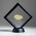 Genuine Natural Libyan Desert Glass // 8.8g