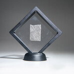 Genuine Natural Muonionalusta Meteorite Slice // 10g