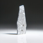 Genuine Natural Muonionalusta Meteorite Slice // 5.8g