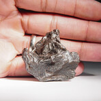 Genuine Natural Sikhote Alin Meteorite // 108.6g