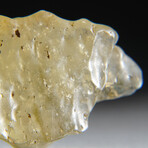 Genuine Natural Libyan Desert Glass // 8.8g