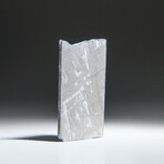 Genuine Natural Muonionalusta Meteorite Slice // 10g