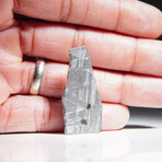 Genuine Natural Muonionalusta Meteorite Slice // 5.8g