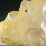 Genuine Natural Libyan Desert Glass // 6.2g