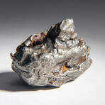 Genuine Natural Sikhote Alin Meteorite // 58.3g