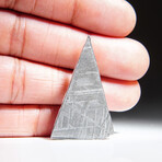 Genuine Natural Muonionalusta Meteorite Slice V2 // 5.7g