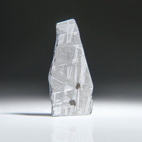 Genuine Natural Muonionalusta Meteorite Slice // 5.8g