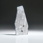 Genuine Natural Muonionalusta Meteorite Slice // 5.8g