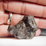 Genuine Natural Sikhote Alin Meteorite // 64g