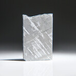 Genuine Natural Muonionalusta Meteorite Slice // 10g