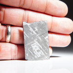 Genuine Natural Muonionalusta Meteorite Slice // 10g