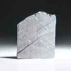 Genuine Natural Muonionalusta Meteorite Slice // 8.4g