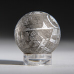 Genuine Natural Muonionalusta Meteorite Sphere with Acrylic Display Stand
