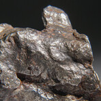 Genuine Natural Sikhote Alin Meteorite // 105.5g