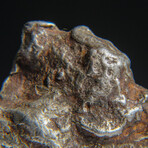 Genuine Natural Sikhote Alin Meteorite // 61g