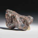 Genuine Natural Sikhote Alin Meteorite // 50g